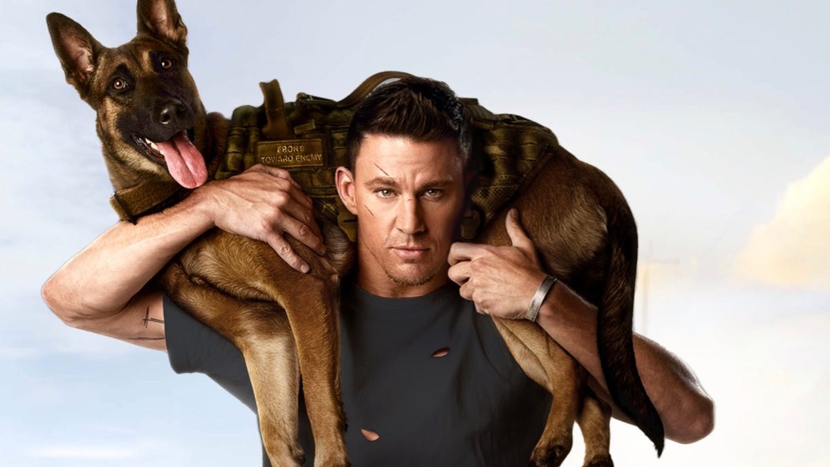 Channing Tatum holds his co-star -- a Belgian Malinois dog -- on his shoulders.