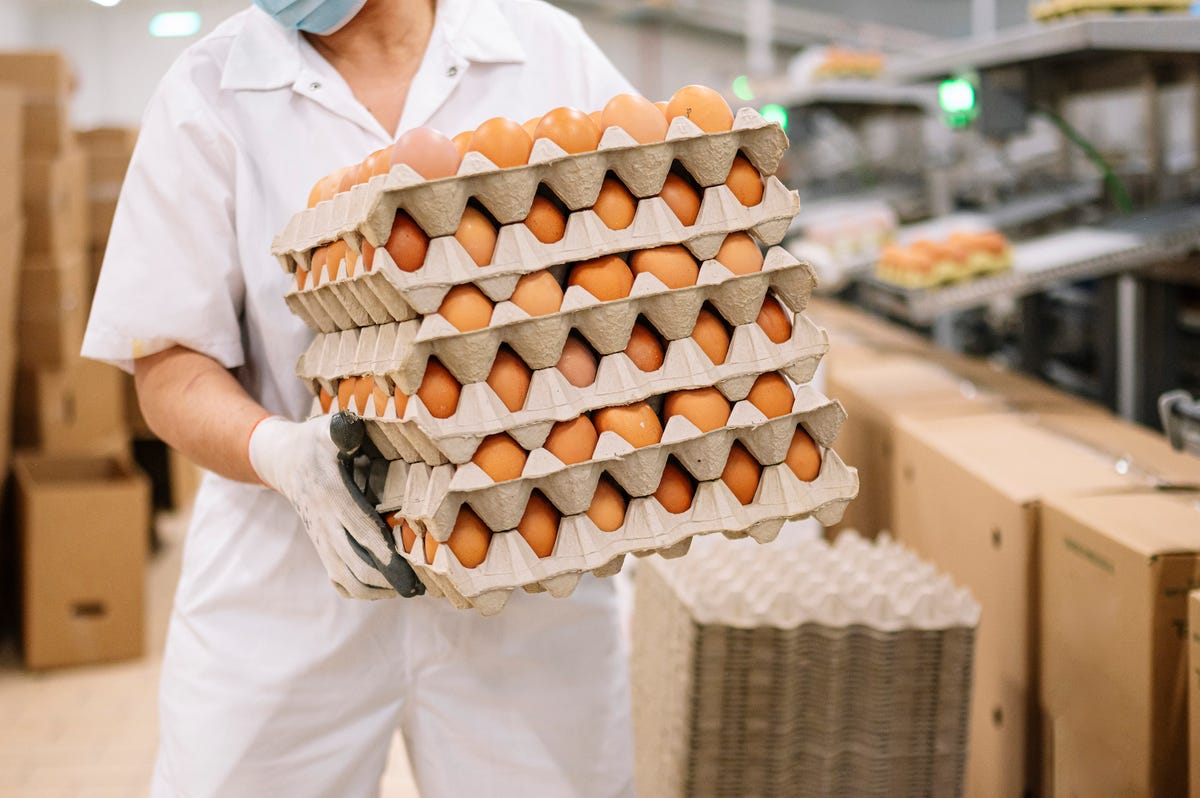 Egg factory worker holding small pallet of eggs