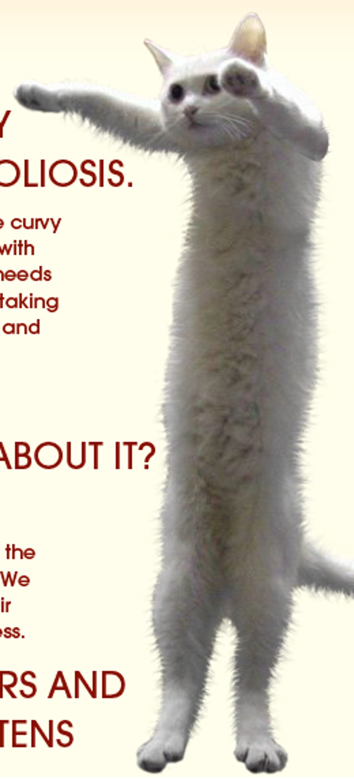 This is Longcat, a meme popularized on 4chan and used on a flier that urges people to flood the /b/ message board on the site with cute cat pictures.