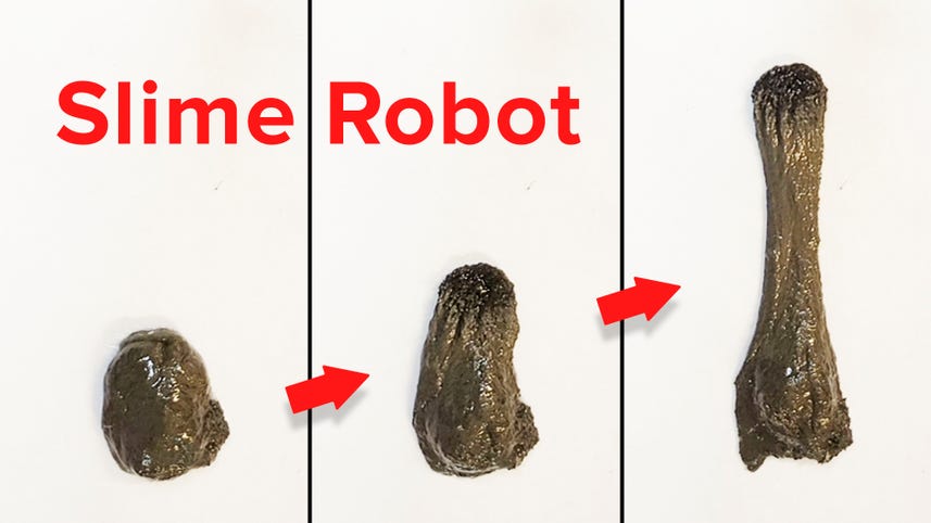 This Magnetic Slime Robot Could Be the Future of Noninvasive Surgery