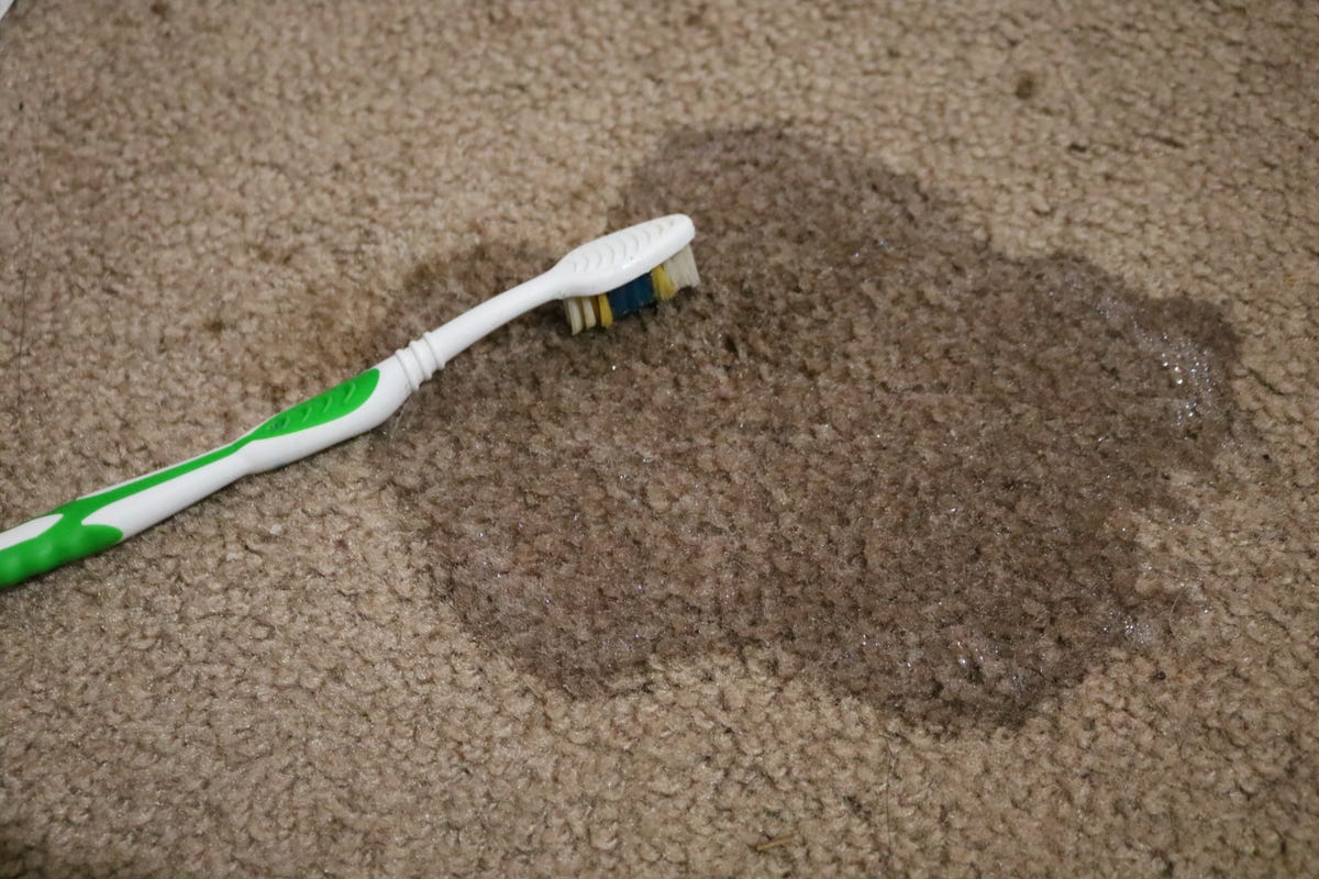 how-to-get-grease-out-of-carpet.jpg