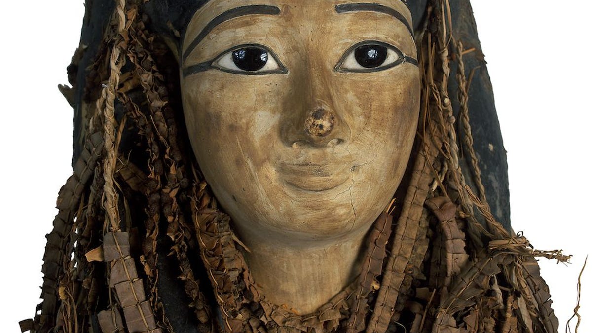 frontiers-medicine-pharaoh-amenhotep-i-1b