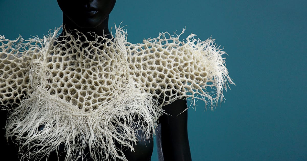 Antidote to Quick Style: How About Garments Grown From Seeds?
