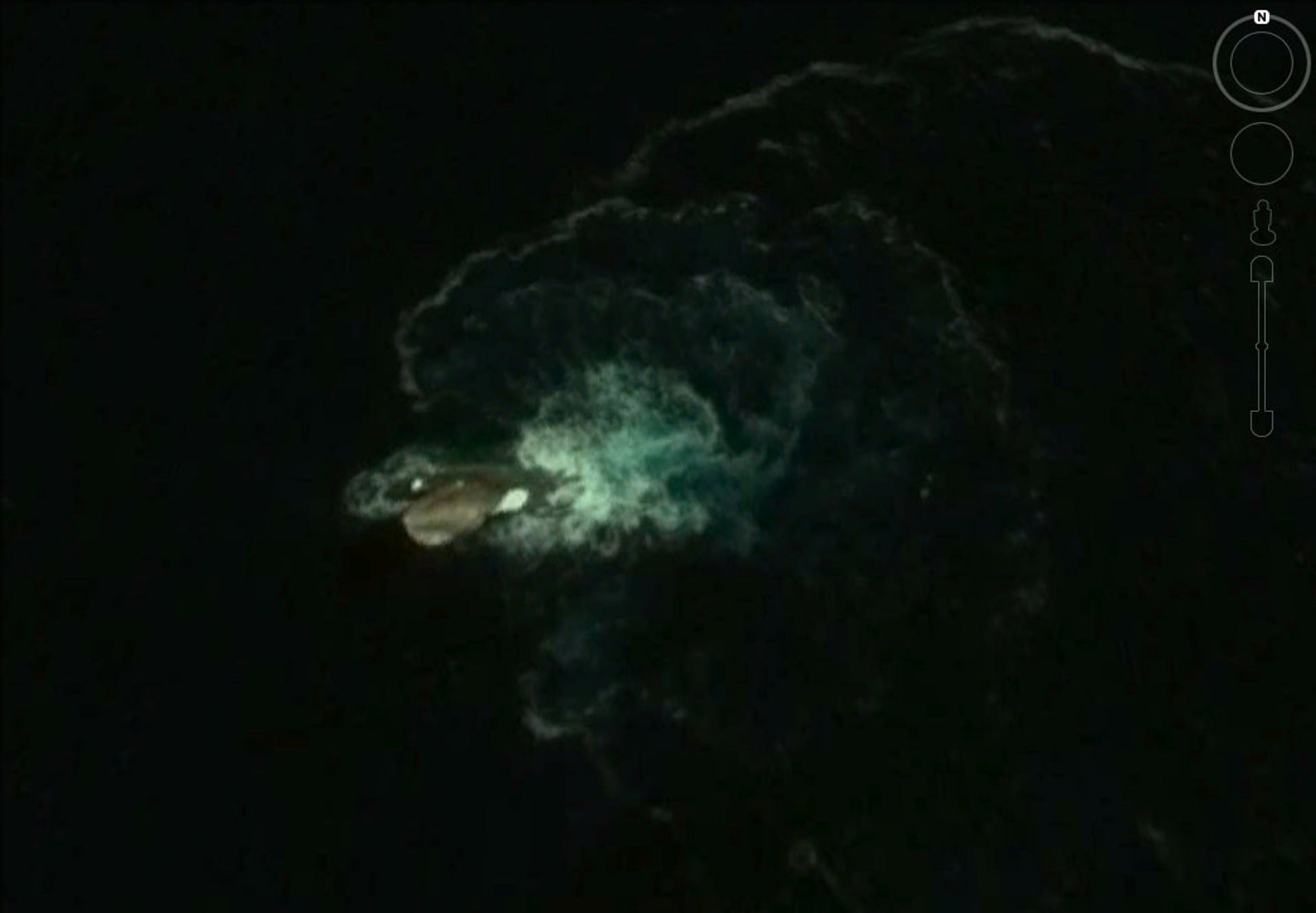 Somebody has just spotted this terrifying sea monster on Google Earth