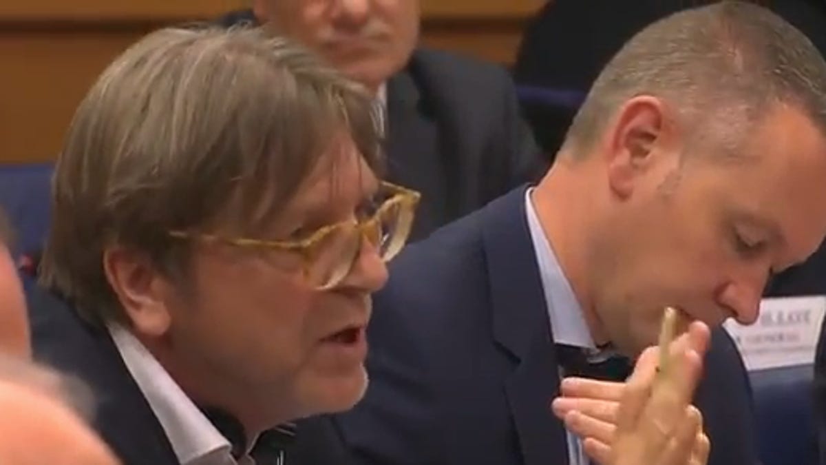 Screenshot of Guy Verhofstadt gesturing during a livestreamed meeting with EU officials and Mark Zuckerberg.