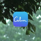 calm-2-rain-on-leaves