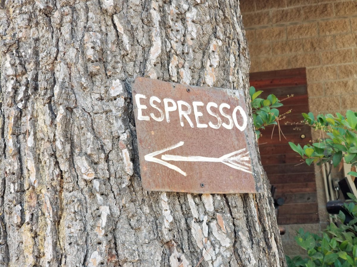 note8-camera-espresso-tree.jpg