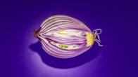 onion-cutting-2279