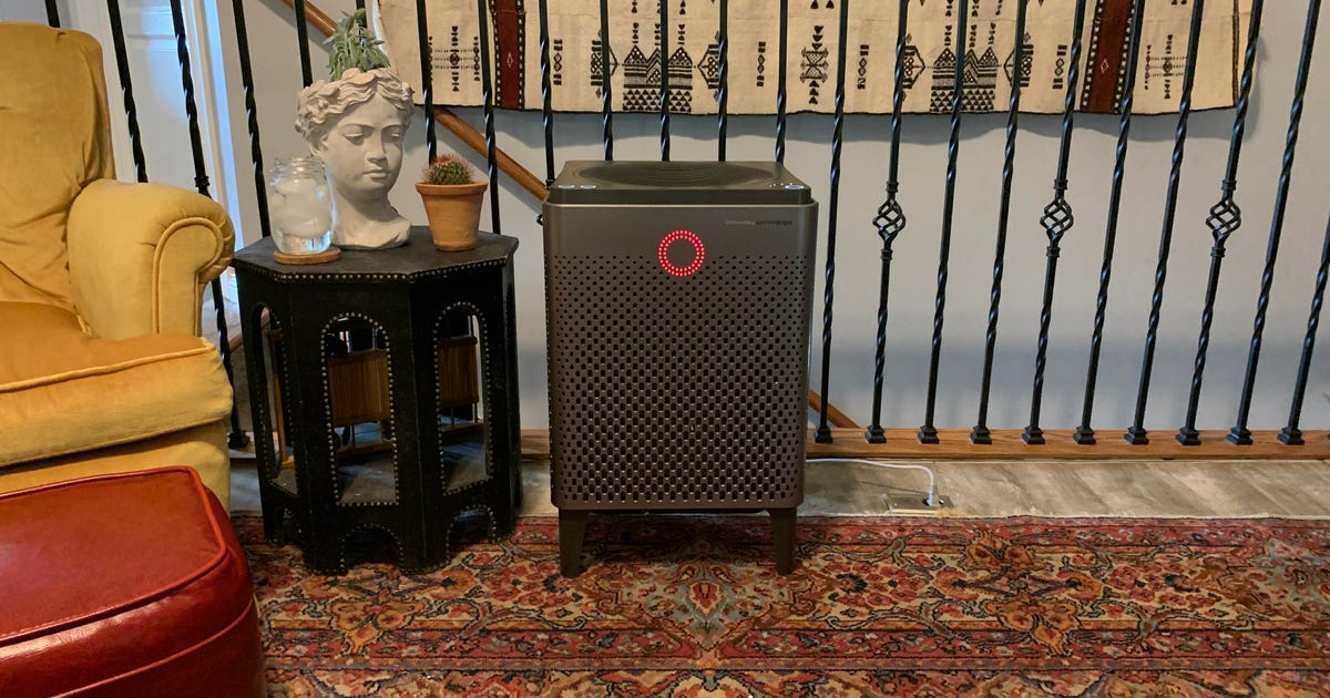 Best Air Purifier of 2022: Tested and Reviewed     – CNET