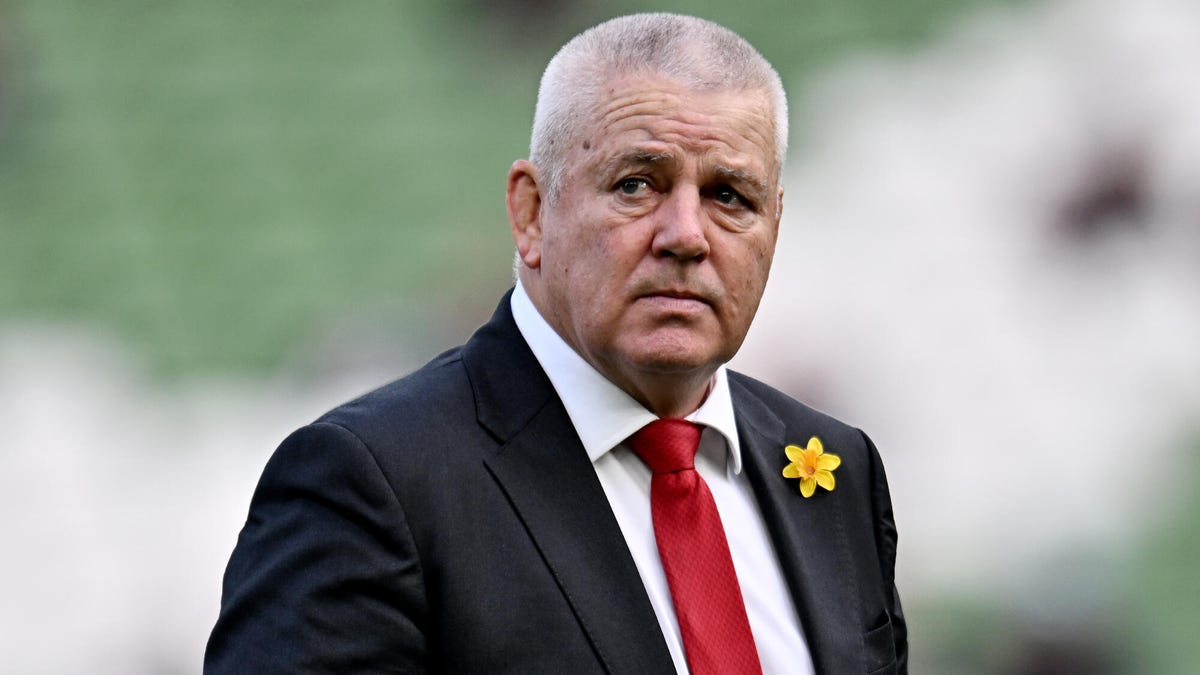 Wales rugby Head Coach Warren Gatland wearing a suit with a red tie and daffodil flower badge.
