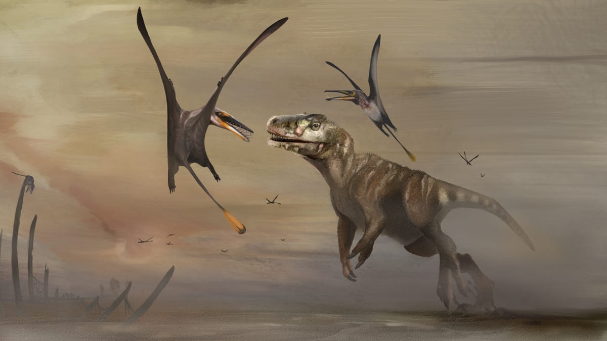 skye-pterosaur-art-2-credit-natalia-jagielska.png
