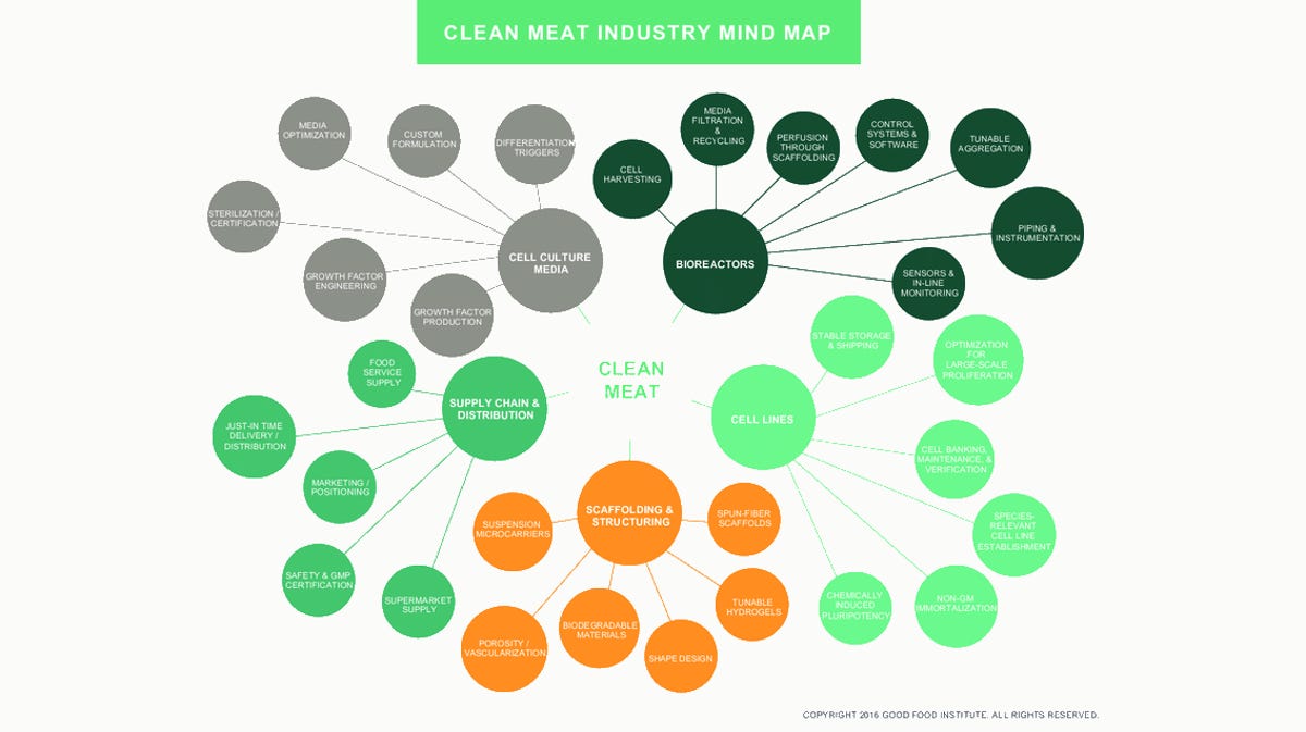 Clean meat industry map
