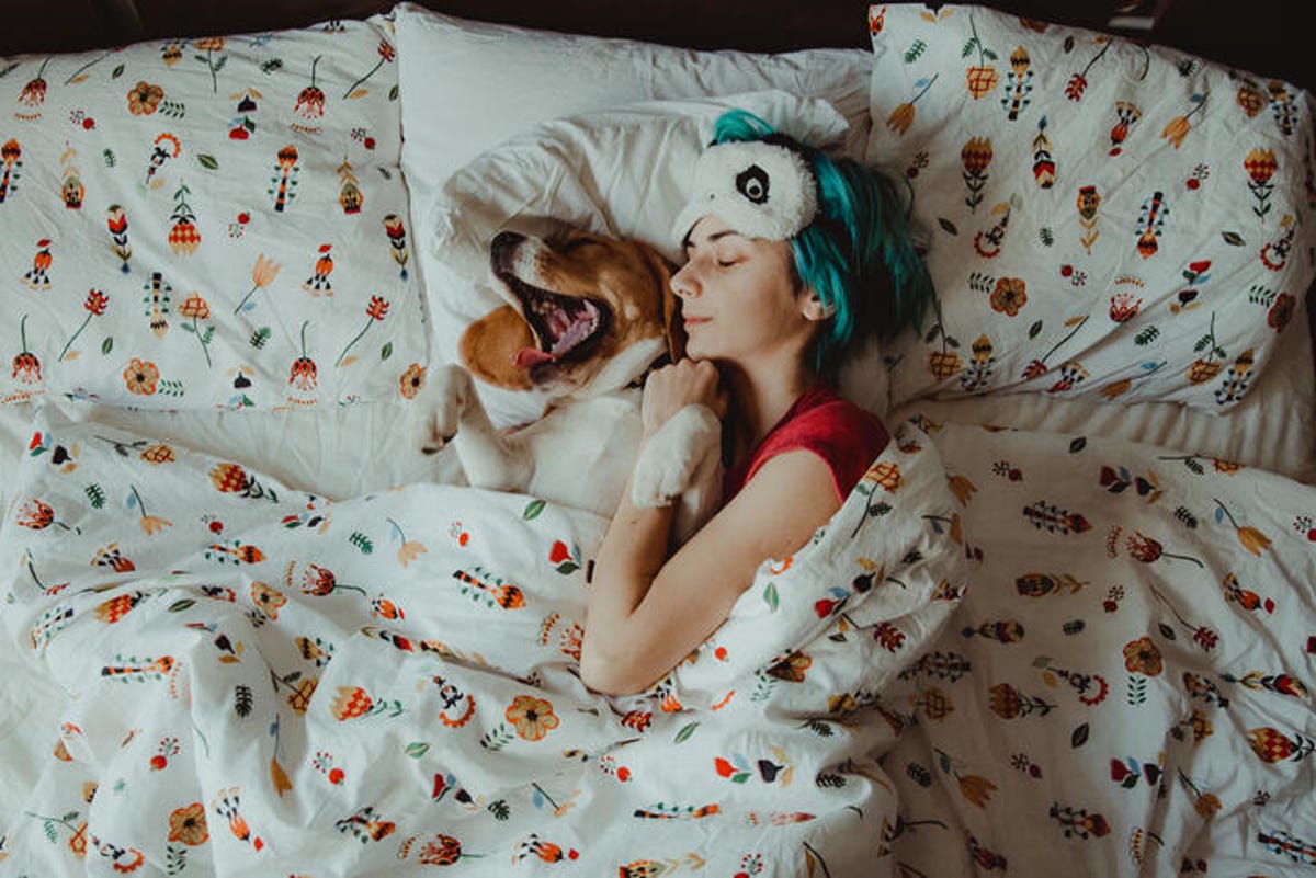 young woman sleeping in bed with a dog