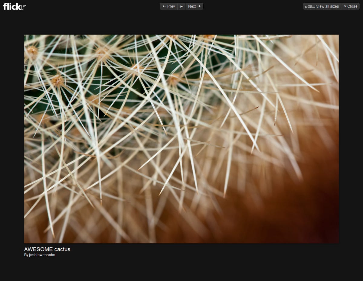 Flickr-lightboxview.png