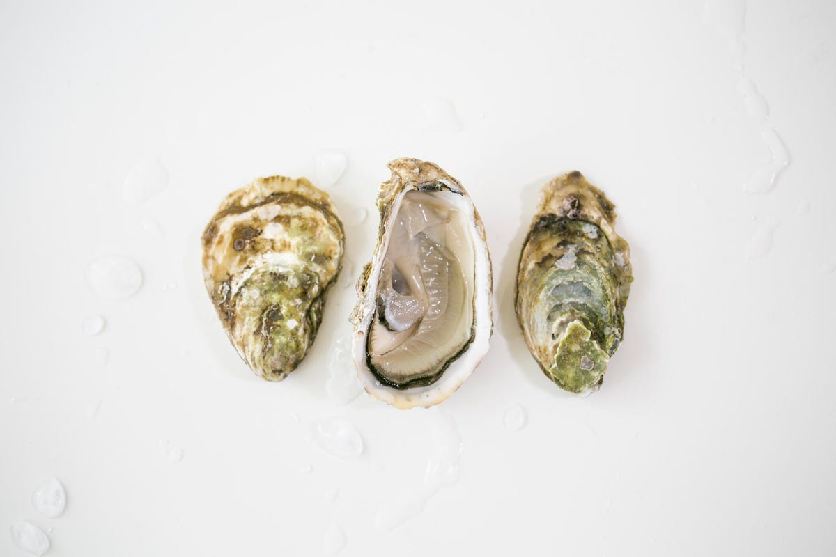 Three fresh oysters on a white surface with water drops