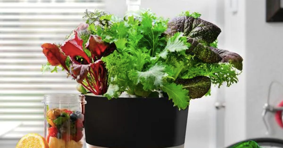 See Your Savings Grow With AeroGarden’s End-of-Summer Sale