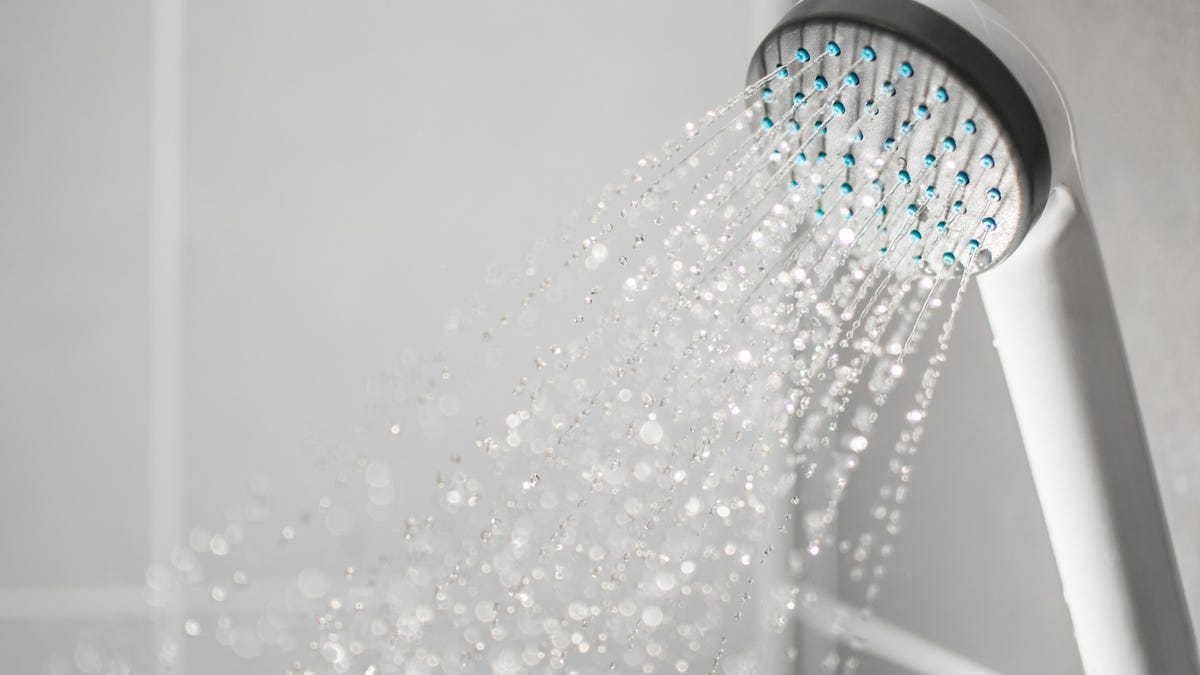 Best Shower Head Filters of 2024 - CNET
