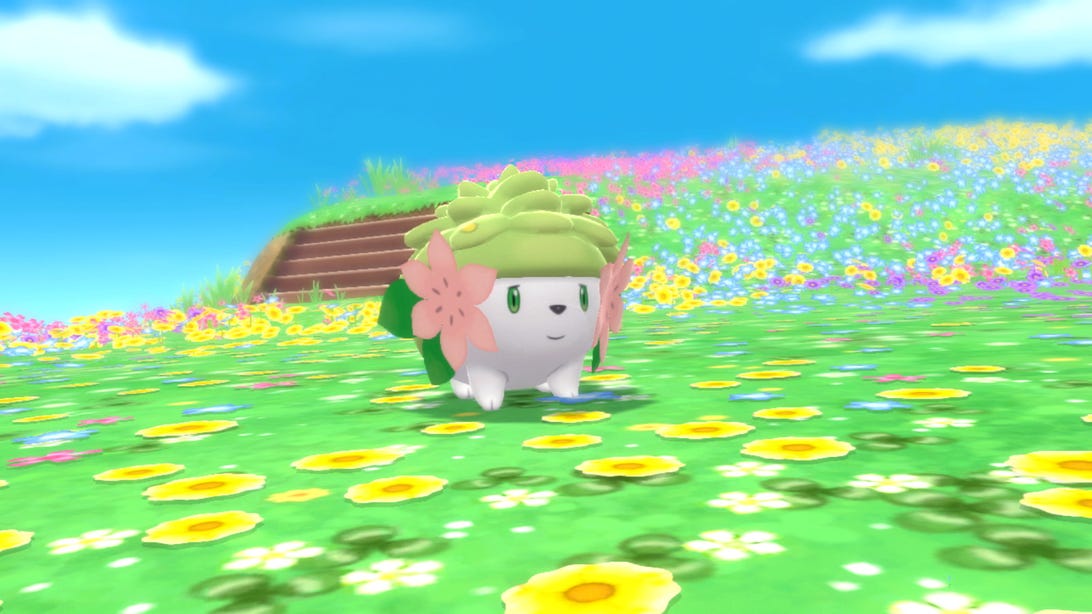 Pokemon Brilliant Diamond and Shining Pearl: How to Get Shaymin     – CNET