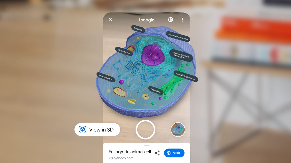 Google AR now has a lot more than animals - CNET