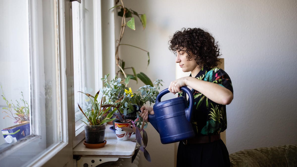 Non-binary person waters houseplants with blue watering can.
