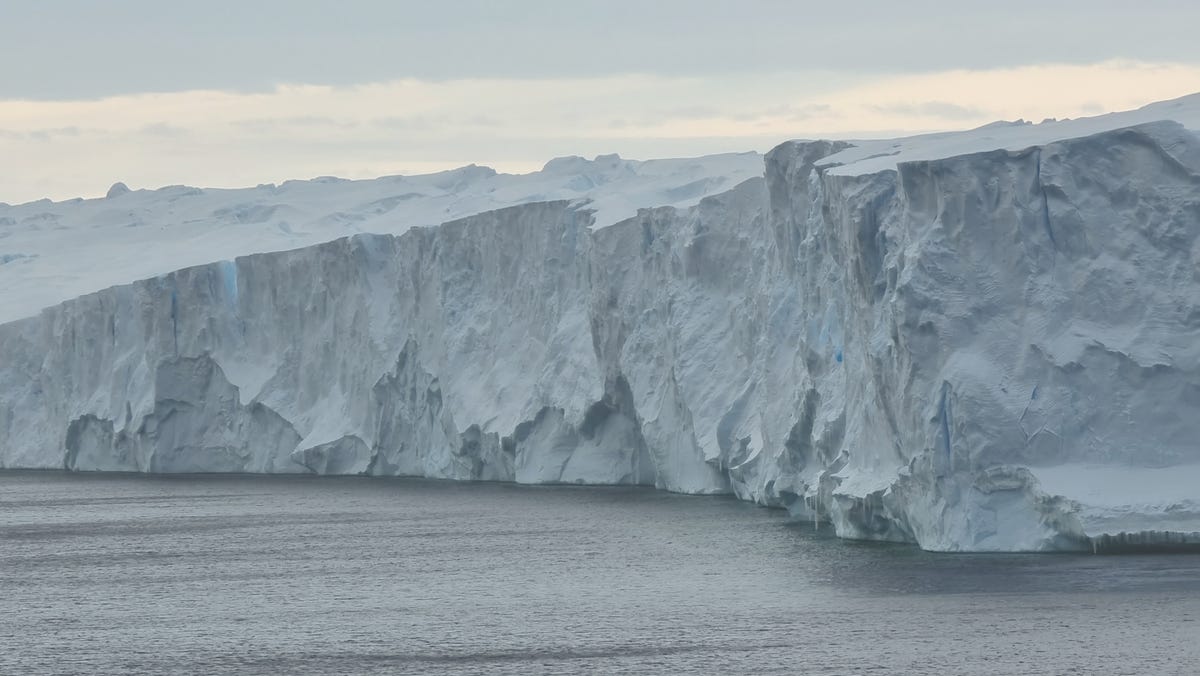 Des scientifiques découvrent une vie florissante sous la banquise de l’Antarctique