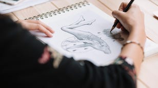 Dust Off Your Art Skills With These Online Drawing Classes