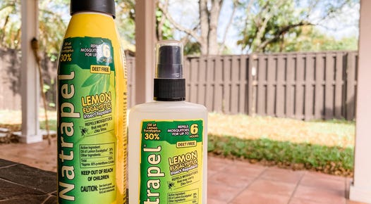 natrapel lemon eucalyptus insect repellent