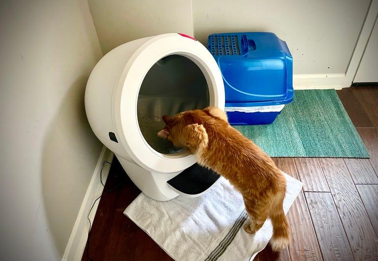 Whisker Litter-Robot 4 Review: Robotic Litter (Once Your Cats Adjust to It) - CNET