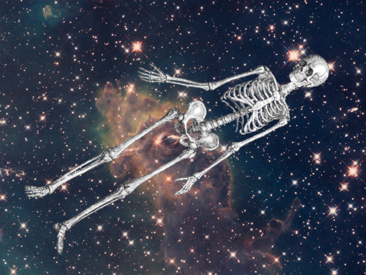 space-skeleton.jpg