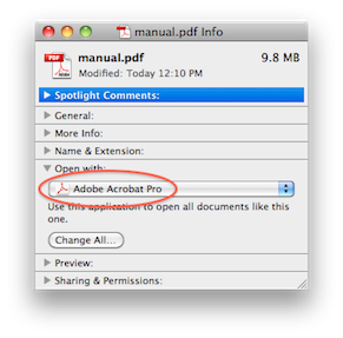 unable to download pdf in safari