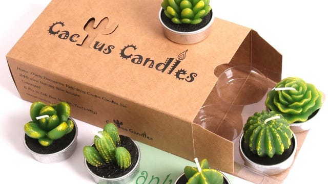 cactus-candles