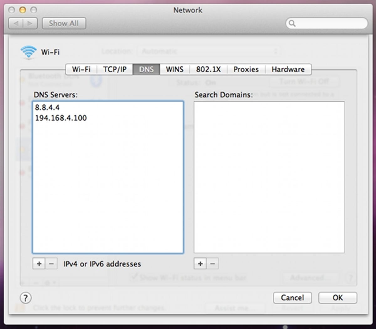 Mac network new DNS