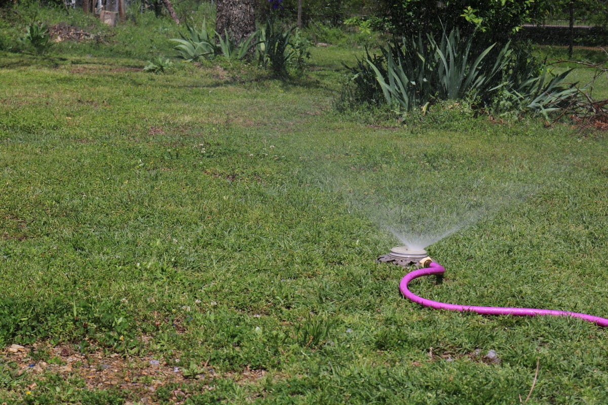 Hose watering a lawn