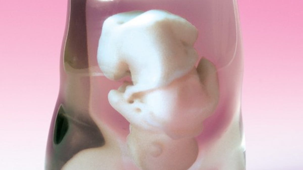 3D-printed fetus