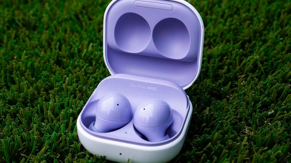 The Samsung Galaxy Buds 2 in the case