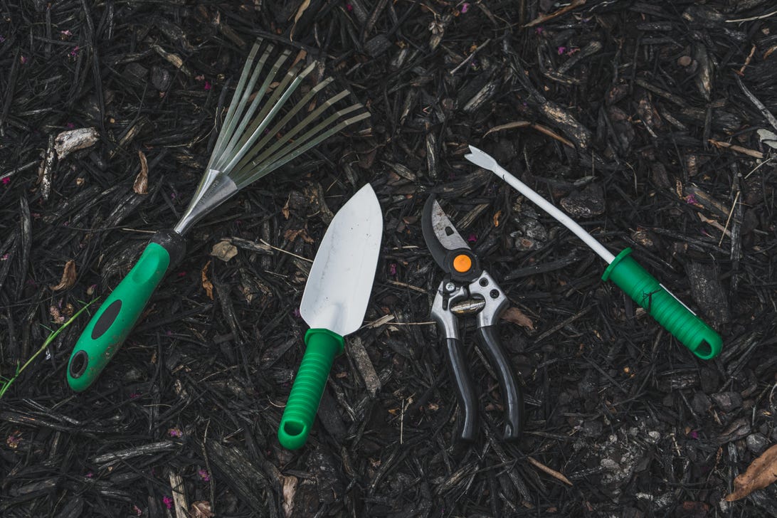 10 essential tools every gardener needs