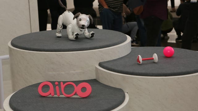 Sony Aibo Robot Dog