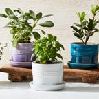 le creuset mini planters with herbs