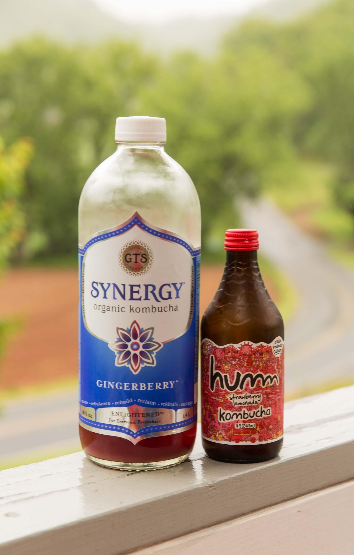 How to make healthy probiotic Kombucha for cheap at home