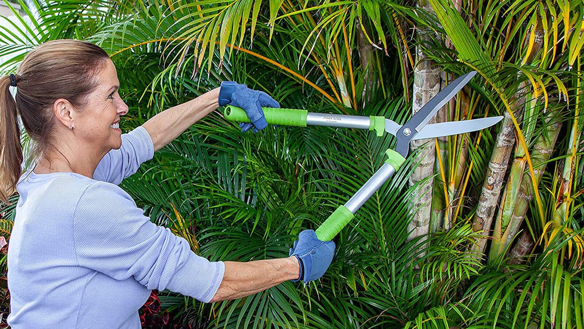 A woman uses Martha Stewart brand long-handle garden sheers to trim the plants in her yard.
