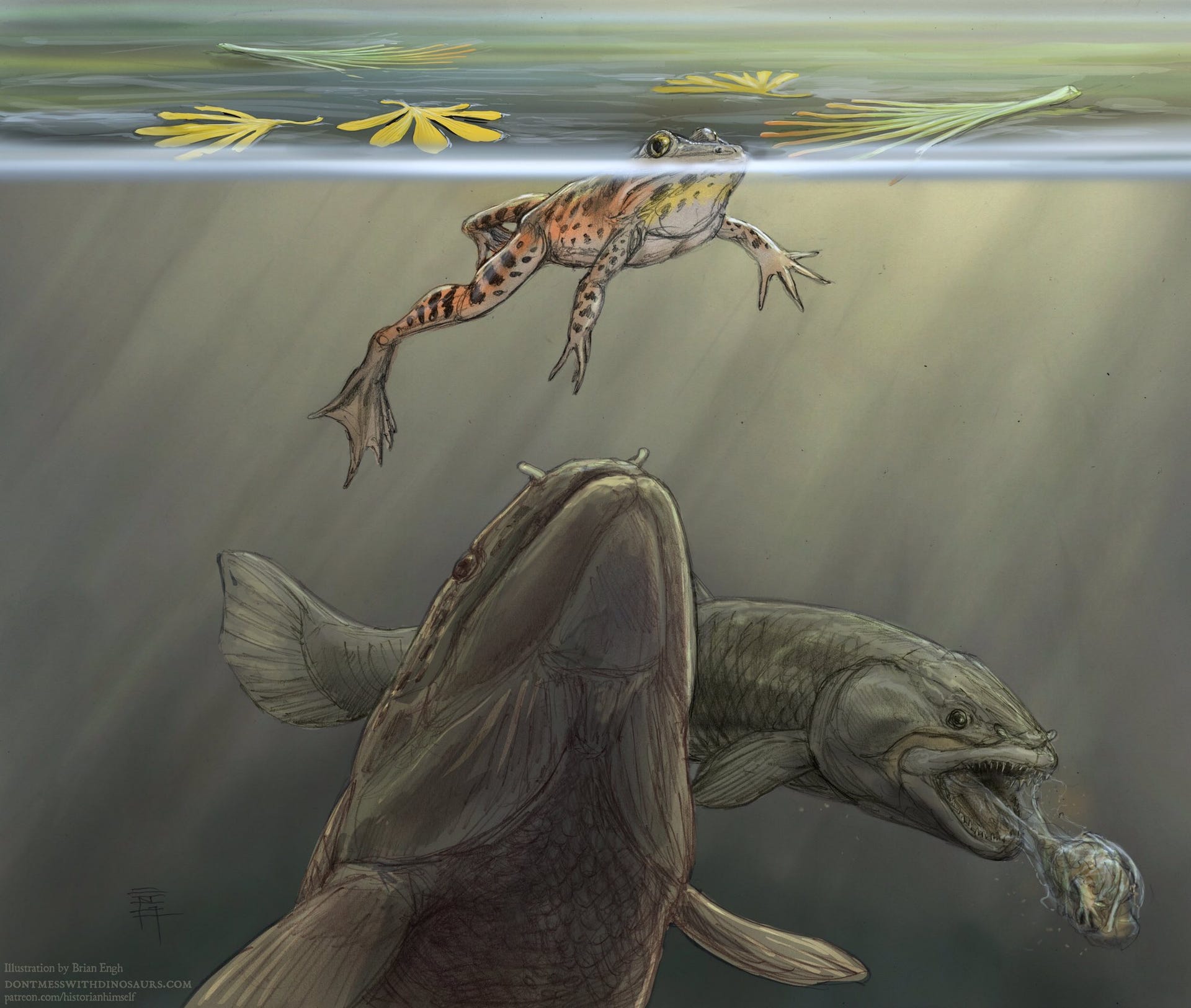 Illustration showing two fish, one of which is looking up at a swimming frog and the other of which is puking.