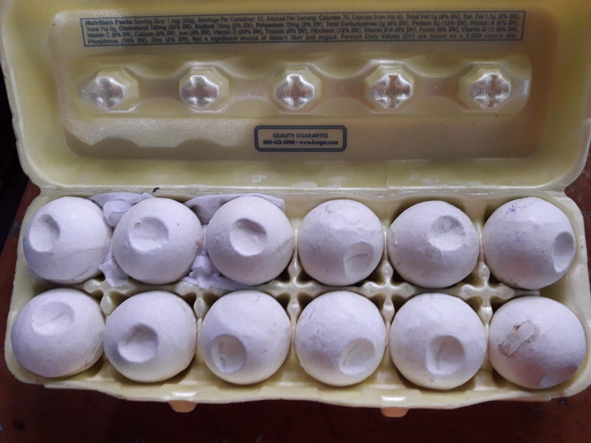 this-photo-shows-a-dozen-decoy-turtle-eggs-in-a-carton-credit-helen-pheasey