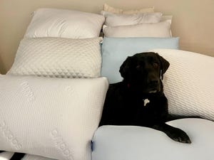 Image of article: Best Pillows for Back Sle…