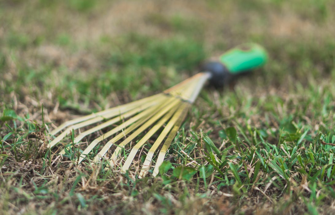 10 Essential Gardening Tools And What, Wide Rake Garden Tool