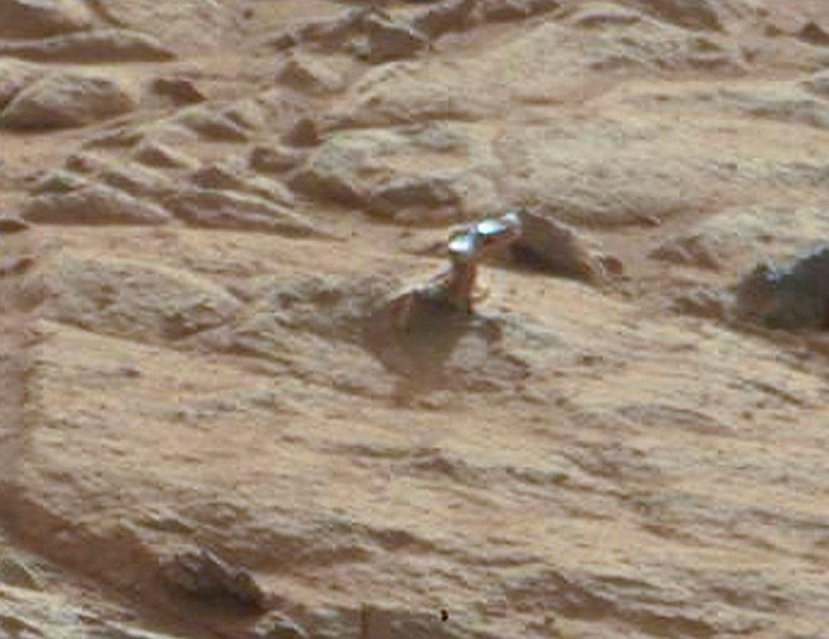Very small shiny object stickling out from a Mars rock.