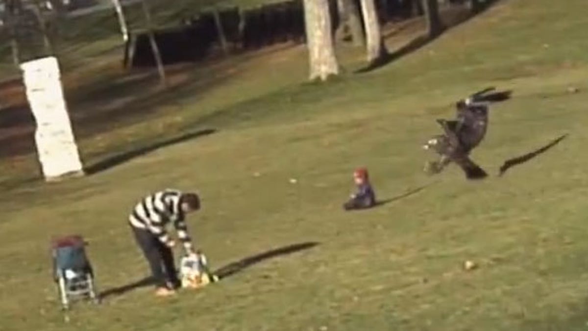 A screen capture from a fake video of an eagle briefly snatching a child.