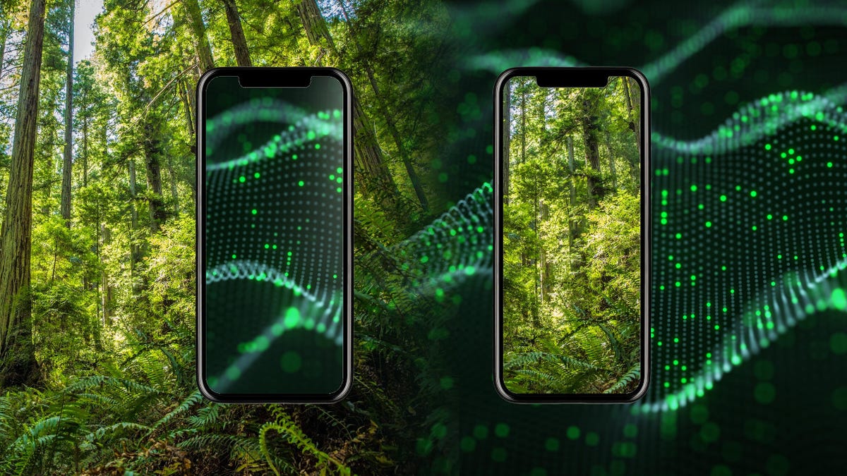 Smartphones against a backdrop of spectrum waves and trees