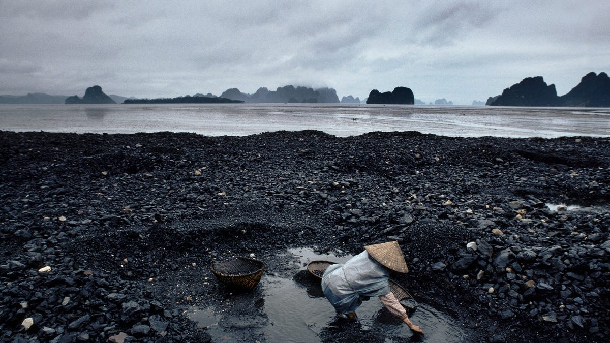 A woman scavenges for coal along a shoreline