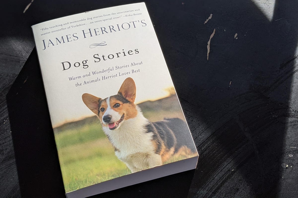 James Herriot's Dog Stories book