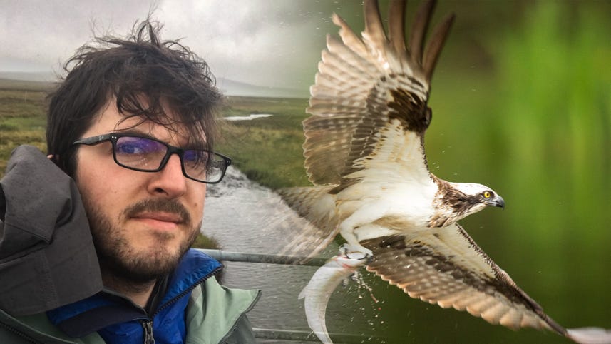 How I battled the elements to capture Scotland's wildlife on camera